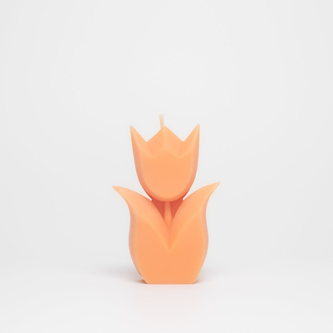 Tulip Candle – Manara Home